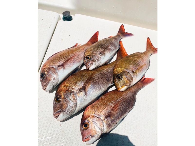 【香川・坂出】初心者の方でもご安心！！エンジョイフィッシングツアーの紹介画像