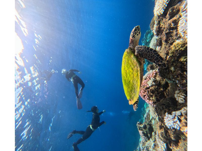 【アメリカンビレッジ近く・北谷町／読谷村】新規OPEN！モニタープランの紹介画像