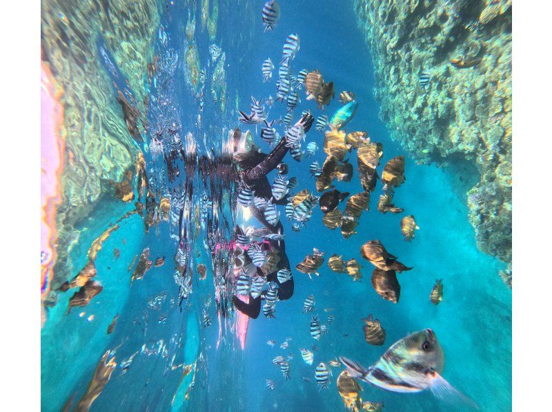 【アメリカンビレッジ近く・北谷町／読谷村】新規OPEN！モニタープラン❤️の紹介画像