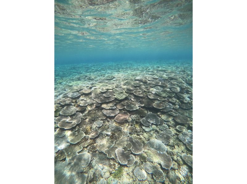 【アメリカンビレッジ近く・北谷町／読谷村】新規OPEN！モニタープランの紹介画像