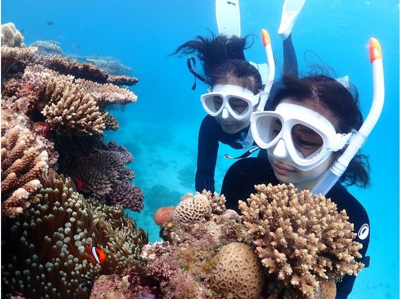 Okinawa, Motobu Town, Gorilla Chop Beach is a popular spot with beautiful corals and fish on white sand / Skin diving ꕥ Beginners are welcome! Recommended for families, couples and women!の紹介画像