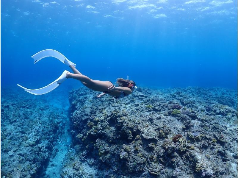 Okinawa, Motobu Town, Gorilla Chop Beach is a popular spot with beautiful corals and fish on white sand / Skin diving ꕥ Beginners are welcome! Recommended for families, couples and women!の紹介画像