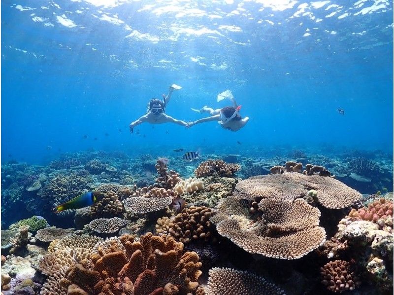 Okinawa, Motobu Town, Gorilla Chop Beach is a popular spot with beautiful corals and fish on white sand / Skin diving ꕥ Beginners are welcome! Recommended for families, couples and women!の紹介画像