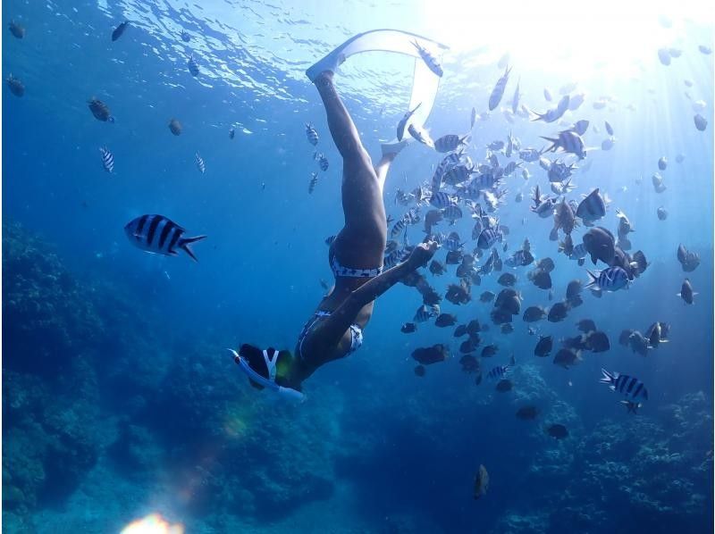 Okinawa, Motobu Town, Gorilla Chop Beach is a popular spot with beautiful corals and fish on white sand / Skin diving ꕥ Beginners are welcome! Recommended for families, couples and women!の紹介画像