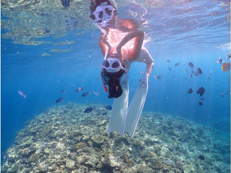 Okinawa, Motobu Town, Gorilla Chop Beach is a popular spot with beautiful corals and fish on white sand / Skin diving ꕥ Beginners are welcome! Recommended for families, couples and women!の紹介画像