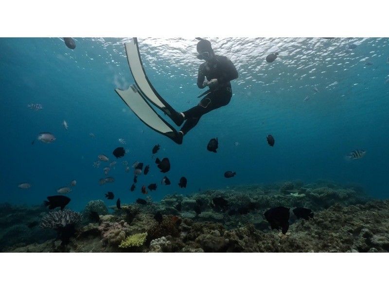 Okinawa, Motobu Town, Gorilla Chop Beach is a popular spot with beautiful corals and fish on white sand / Skin diving ꕥ Beginners are welcome! Recommended for families, couples and women!の紹介画像