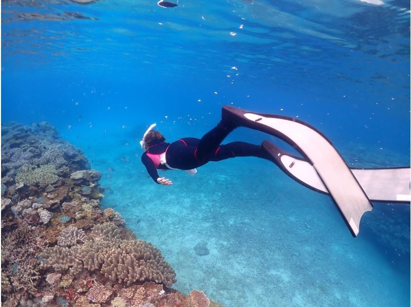 Okinawa, Motobu Town, Gorilla Chop Beach is a popular spot with beautiful corals and fish on white sand / Skin diving ꕥ Beginners are welcome! Recommended for families, couples and women!の紹介画像