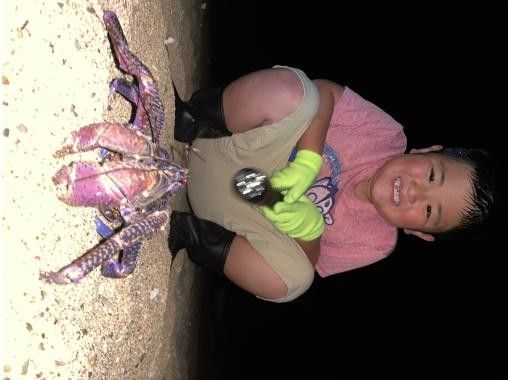 [99% chance of encountering coconut crabs] Starry sky photos, night safari, and a mangrove adventure that won't leave you wet / Full refund guarantee if you don't see the endangered coconut crabの紹介画像