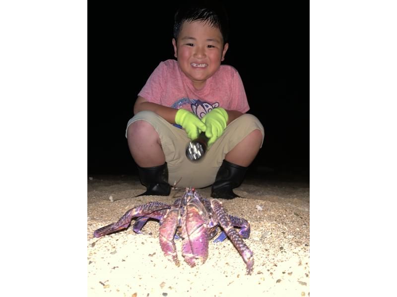 [98% chance of encountering coconut crabs] Starry sky photos & night safari & 100% dry mangrove exploration / Ages 3 to 65 / Full refund guarantee if you don't see the endangered coconut crabの紹介画像