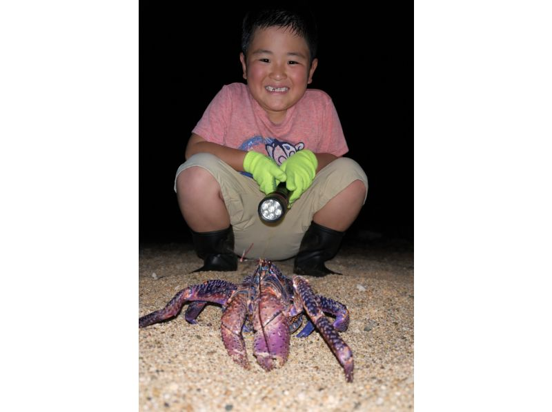 【ヤシガニ遭遇99％】星空フォト＆ナイトサファリ＆ホタル鑑賞／絶滅危惧種ヤシガニ見れなきゃ全額返金保証有の紹介画像