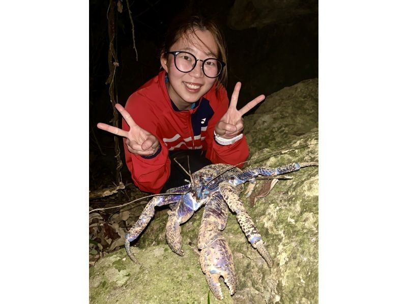 [98% chance of encountering coconut crabs] Starry sky photos & night safari & 100% dry mangrove exploration / Ages 3 to 65 / Full refund guarantee if you don't see the endangered coconut crabの紹介画像