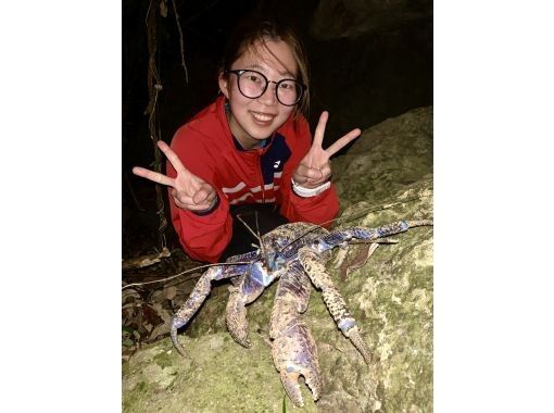 [99% chance of encountering coconut crabs] Starry sky photos, night safari, and a mangrove adventure that won't leave you wet / Full refund guarantee if you don't see the endangered coconut crabの紹介画像