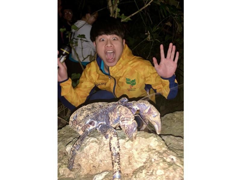[98% chance of encountering coconut crabs / Ages 3 to 65] Starry sky photo & jungle night tour / Full refund guarantee if you don't see the endangered coconut crab / Families are welcomeの紹介画像