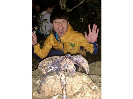 [99% chance of encountering coconut crabs] Starry sky photos, night safari, and a mangrove adventure that won't leave you wet / Full refund guarantee if you don't see the endangered coconut crabの紹介画像