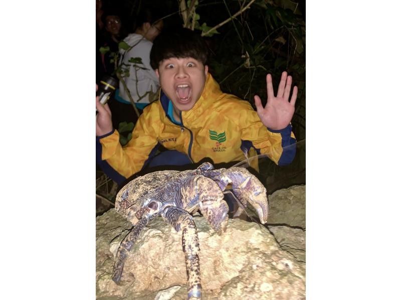 [98% chance of encountering coconut crabs] Starry sky photos & night safari & 100% dry mangrove exploration / Ages 3 to 65 / Full refund guarantee if you don't see the endangered coconut crabの紹介画像