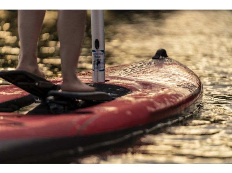 【山梨・西湖】立ち漕ぎSUP水上でトレーニングツアー60分の紹介画像