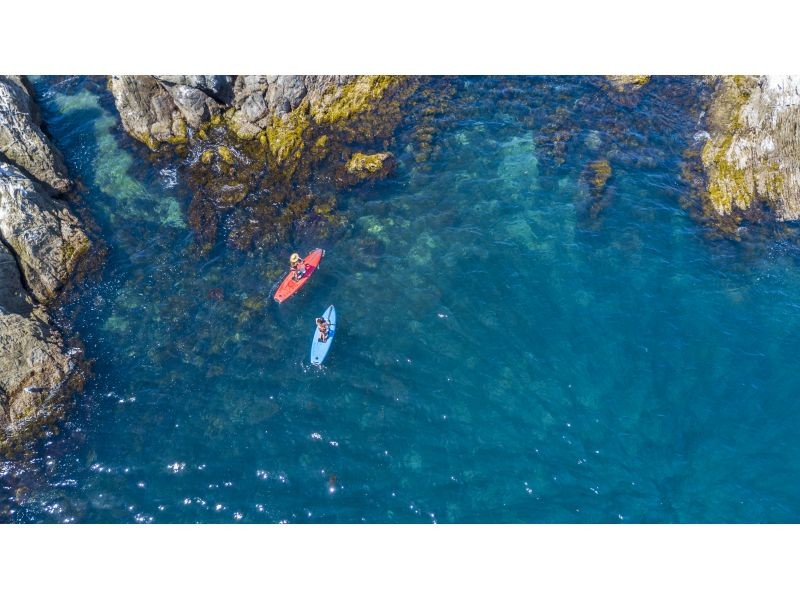 [山梨/西湖]站立划艇SUP水上训练之旅60分钟の紹介画像