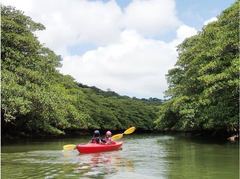 [沖縄·西表島]我可以享受大量的紅樹林皮划艇一日遊【皮艇]の紹介画像