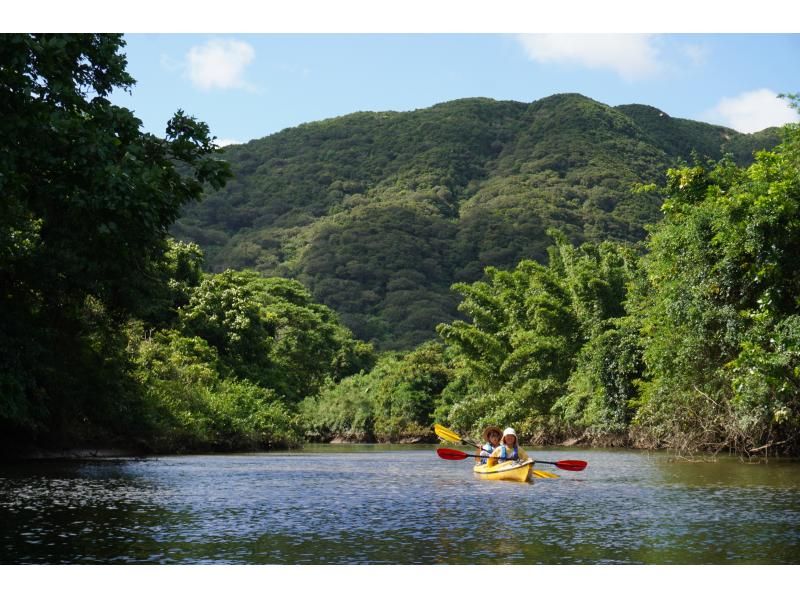 【沖縄・西表島】たっぷり堪能できます マングローブカヤッキング1日ツアー【カヤック】の紹介画像