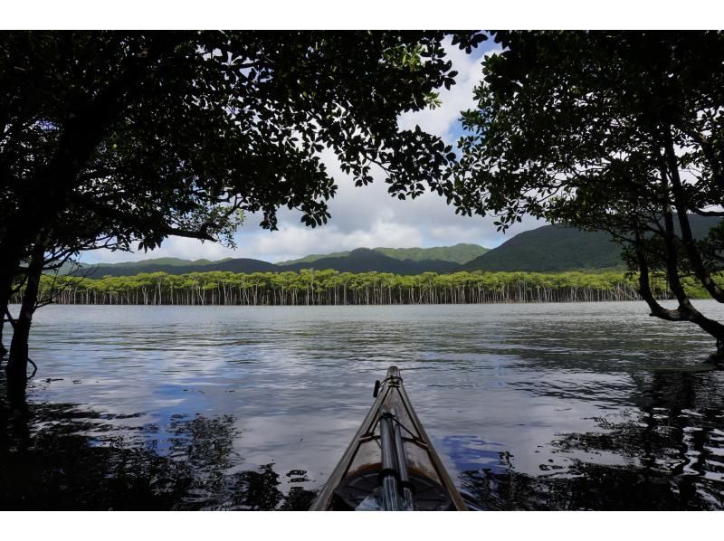 【沖縄・西表島】たっぷり堪能できます マングローブカヤッキング1日ツアー【カヤック】の紹介画像