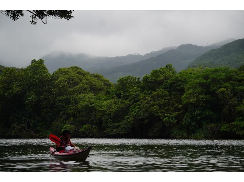 【沖縄・西表島】たっぷり堪能できます マングローブカヤッキング1日ツアー【カヤック】の紹介画像