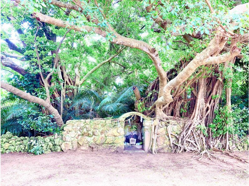 【沖縄・石垣島】歴史のさんぽ道 あなたはまだ知らない石垣島の真の歴史！！（3時間）