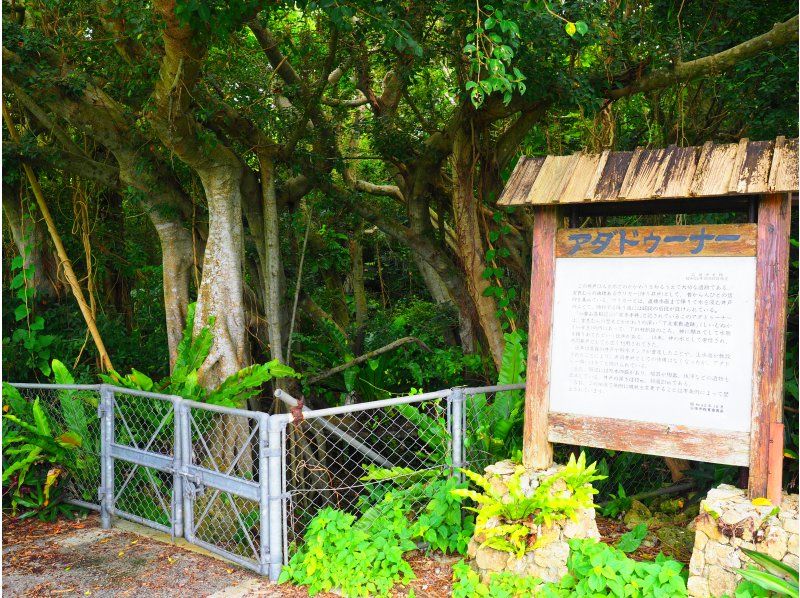 【沖縄・石垣島】“歴史のさんぽ道”あなたはまだ知らない石垣島の真の歴史の本文！！（3時間）の紹介画像