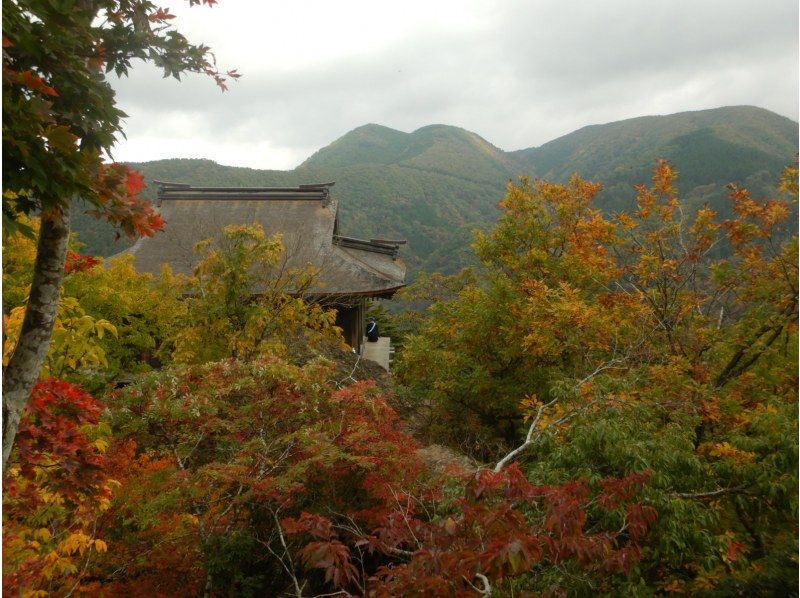 [Tottori Prefecture/Mt. Mitoku] Only for one person! Let's visit Japan's most dangerous national treasure, Mt. Mitoku Nageire-do, and experience Shugendo in autumn colors.の紹介画像