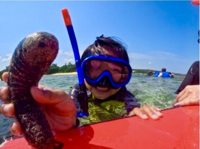 [Blue Cave Snorkel] Exclusive guided tour to “Okinawa Blue Cave”