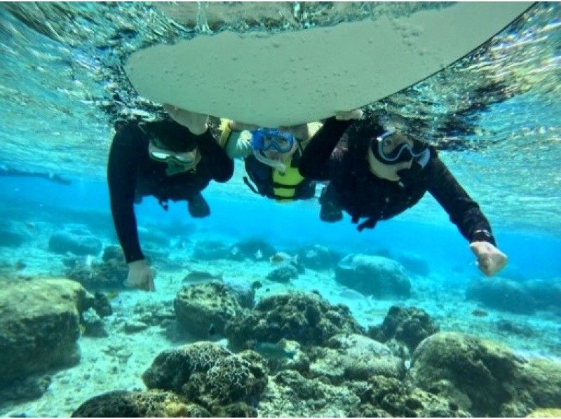 [Blue Cave Snorkel] Exclusive guided tour to “Okinawa Blue Cave”