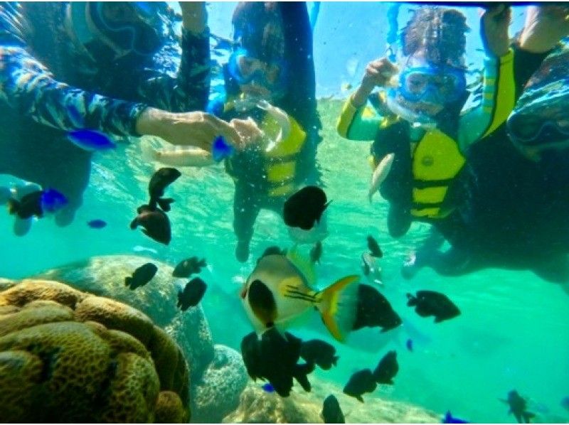 [Blue Cave Snorkel] Exclusive guided tour to “Okinawa Blue Cave”