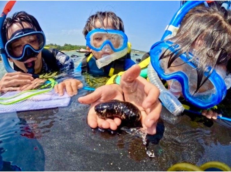 [Blue Cave Snorkel] Exclusive guided tour to “Okinawa Blue Cave”