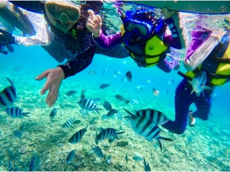 [Blue Cave Snorkel] Exclusive guided tour to “Okinawa Blue Cave”