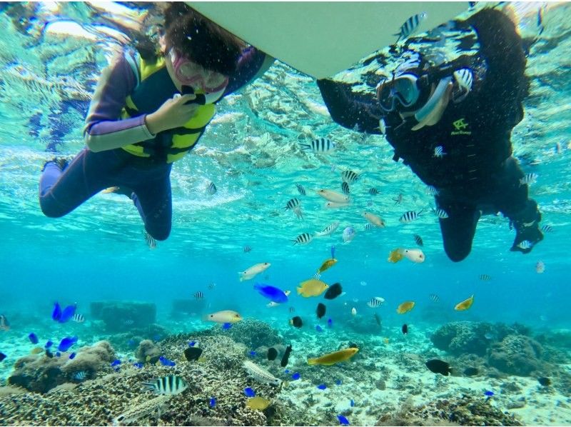 [Blue Cave Snorkel] Exclusive guided tour to “Okinawa Blue Cave”