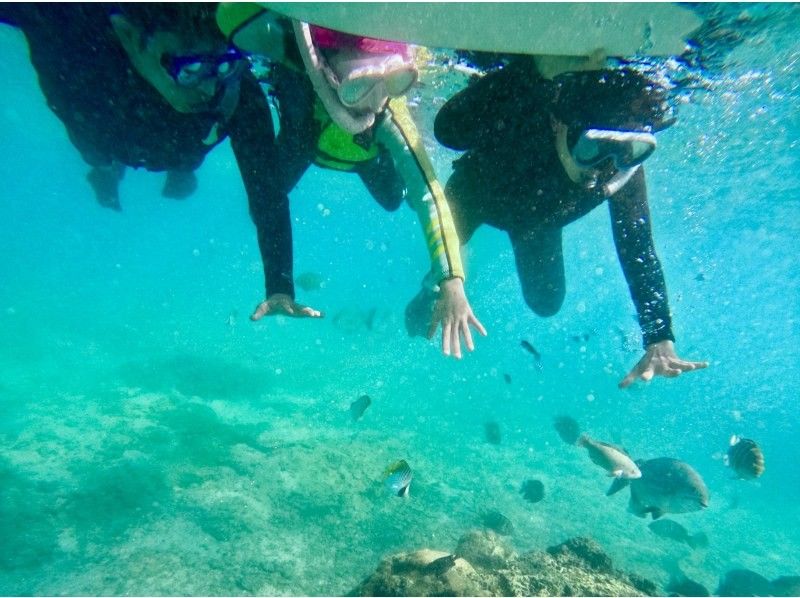 [Blue Cave Snorkel] Exclusive guided tour to “Okinawa Blue Cave”