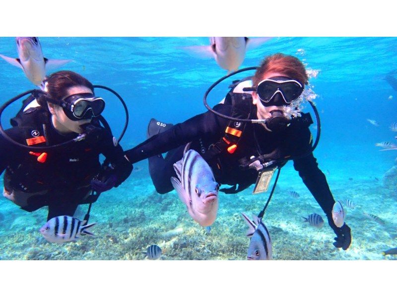 [กีฬาทางน้ำเจ็ท 2 ประเภท] + [ทดลองดำน้ำ ~ ถ้ำสีน้ำเงินและแนวปะการัง] ★ตกลงผู้ใช้ครั้งแรก★の紹介画像