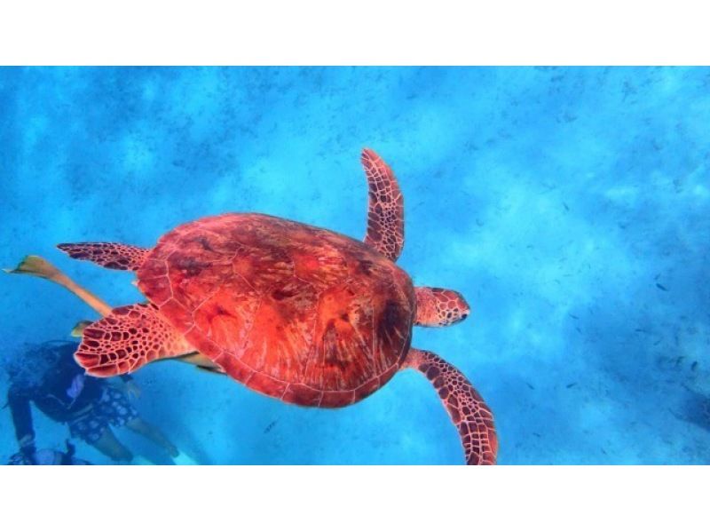 [กีฬาทางน้ำเจ็ท 2 ประเภท] + [ทดลองดำน้ำ ~ ถ้ำสีน้ำเงินและแนวปะการัง] ★ตกลงผู้ใช้ครั้งแรก★の紹介画像