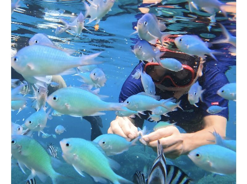 [Near the underwater road] Private boat snorkeling 90 minutes On the day, empty-handed OK! Fully equipped toilets Free for children under 3 years oldの紹介画像