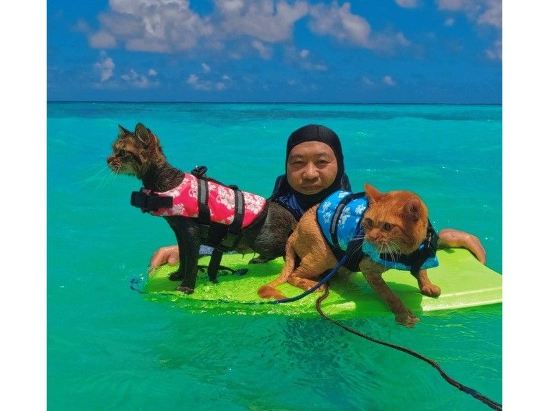 [3-hour boat rental | A fulfilling experience] Deserted island x snorkeling x SUP. Same-day participation OK, empty-handed OK, toilets available, free for children under 3 years oldの紹介画像