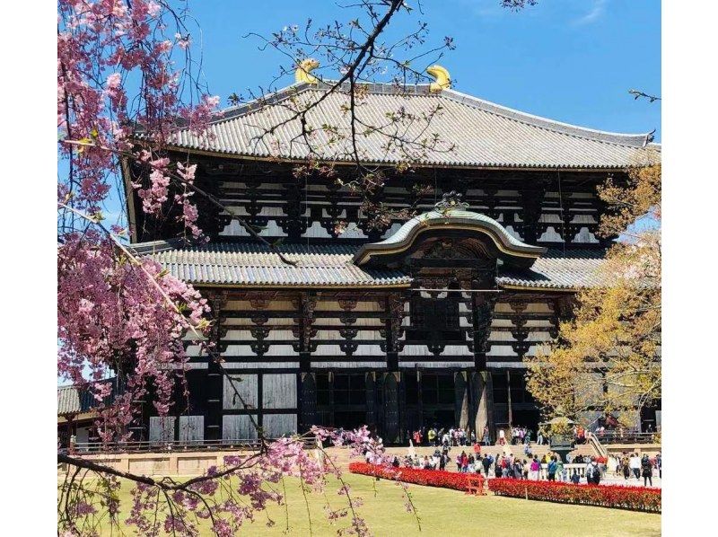 [Nara] Spring sale underway! Custom-made 10-hour day tour in a sightseeing hire car with a private driverの紹介画像