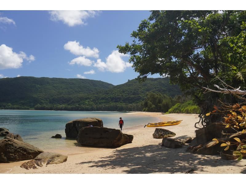 【沖縄・西表島】フィールドはガイドにお任せ☆シーカヤックプラン【1日ツアー】の紹介画像