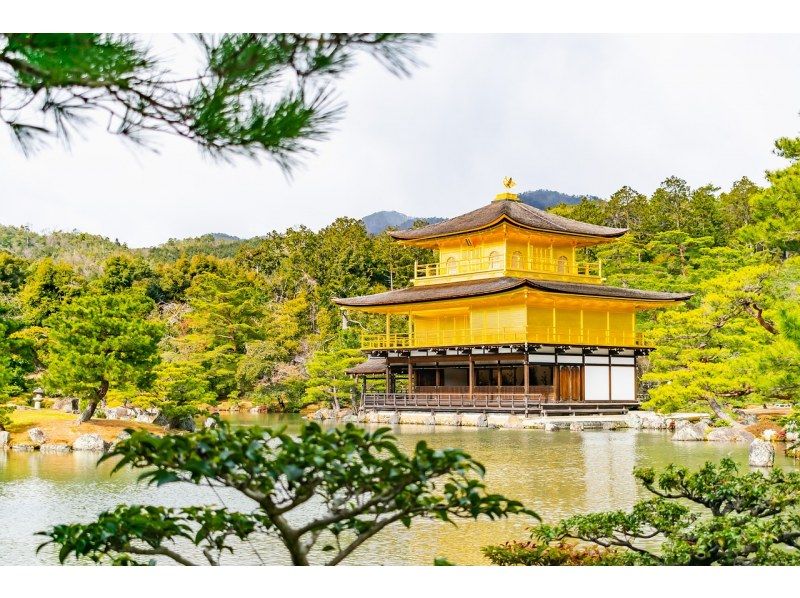[Kyoto Area] Spring Sale underway! Custom-made 10-hour day tour in a sightseeing hire car with a private driverの紹介画像