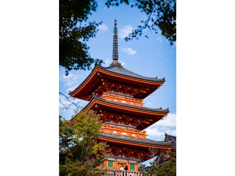 [京都地区]春季特卖正在进行中！私人司机陪同的观光租车定制 10 小时一日游の紹介画像