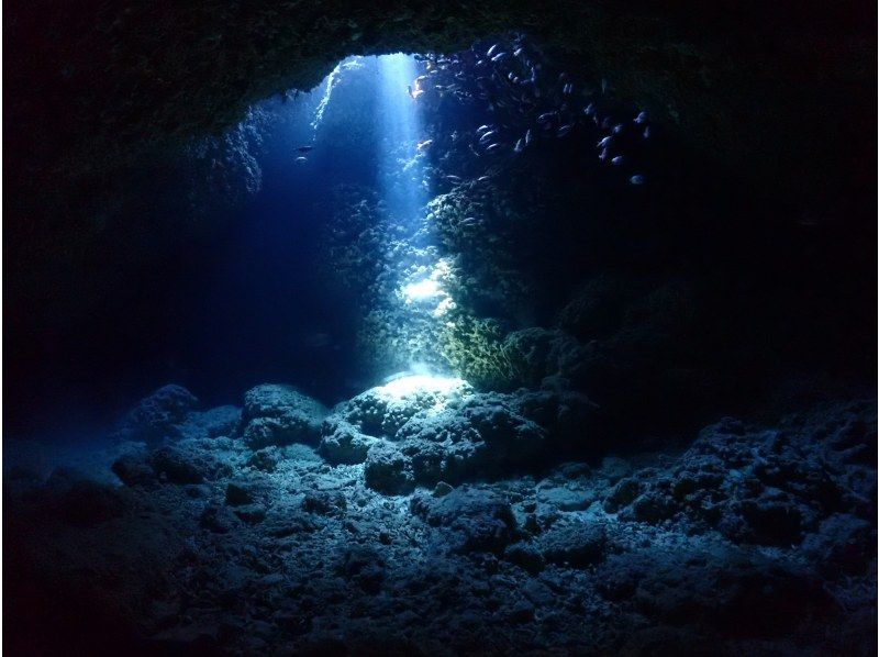 【沖縄・宮古島　人気NO1絶景と感動の地形ファンダイビング】自社船　2ダイブ　少人数制【器材一式レンタル  ・ドリンク  ・送迎・写真無料】の紹介画像