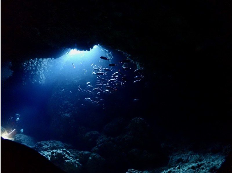 【沖縄・宮古島　人気NO1絶景と感動の地形ファンダイビング】自社船　2ダイブ　少人数制【器材一式レンタル  ・ドリンク  ・送迎・写真無料】の紹介画像