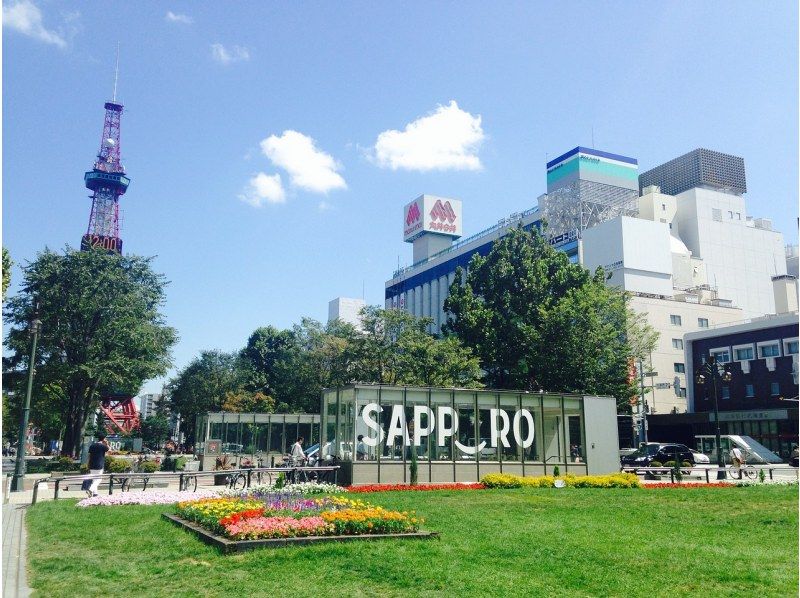 SALE! [Sapporo City, Hokkaido] Custom-made 10-hour day trip tour in a private hire car with a private driverの紹介画像