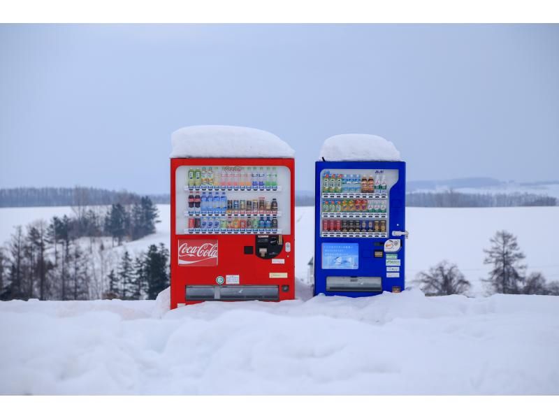 【北海道小樽市区】专职司机观光租车定制10小时一日游の紹介画像