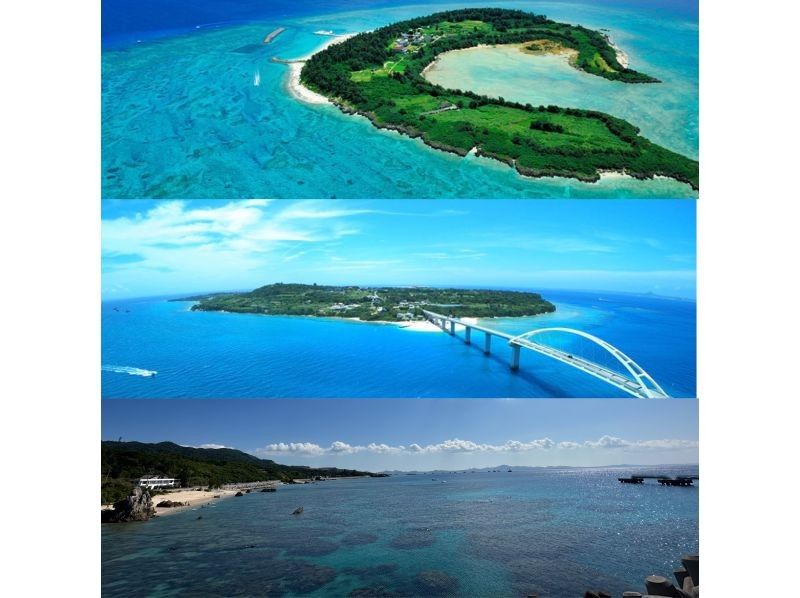 [冲绳本部镇]大猩猩砍体验潜水+滑翔伞套餐♪享受大海和天空！ GoPro 照片数据免费服务♪の紹介画像