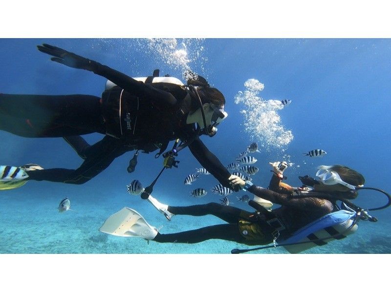[沖繩本部鎮]大猩猩砍體驗潛水+滑翔傘套餐♪享受大海和天空！ GoPro 照片數據免費服務♪の紹介画像