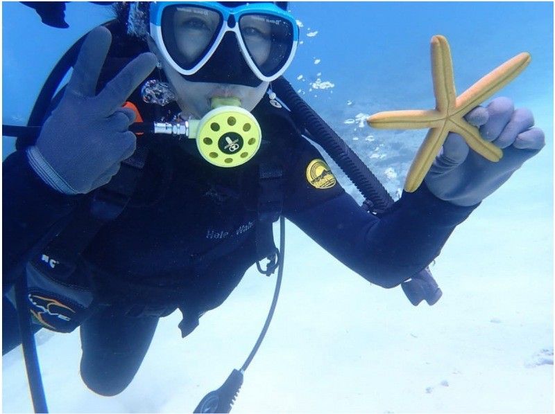 [沖繩本部鎮]大猩猩砍體驗潛水+滑翔傘套餐♪享受大海和天空！ GoPro 照片數據免費服務♪の紹介画像